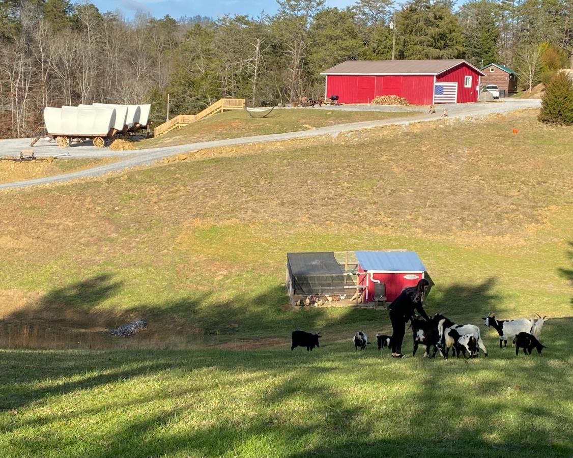 Smoky Hollow Outdoor Resort Covered Wagon 塞维尔维尔 外观 照片